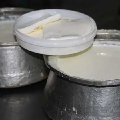 Tereyağı ve Kaymak